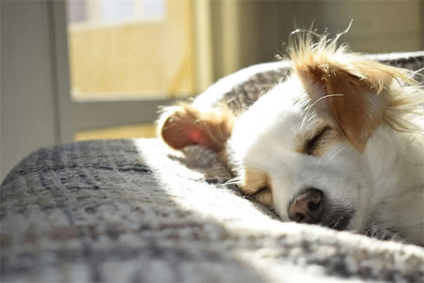 STLA AutoDrive 1.0: Stellantis' Game-Changing Hands-Free Driving System